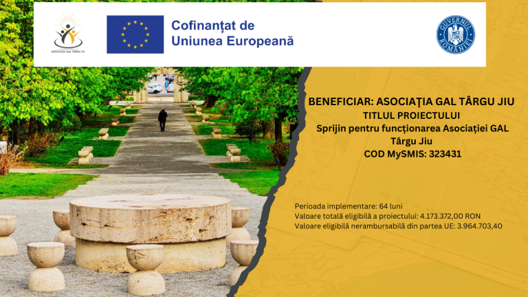 Sprijin pentru functionarea Asociatiei GAL Targu Jiu: proiect pentru dezvoltarea comunității din Târgu Jiu!